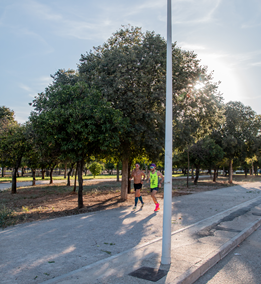 MEJORA MEDIOAMBIENTAL Y PUESTA EN VALOR DEL PARQUE URBANO EL TABLERO OP 33