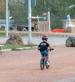 ACTUACIONES COMPLEMENTARIAS OBRAS DE EJECUCIÓN DE PARQUE DE LEVANTE. FASE 2: ZONA SUR