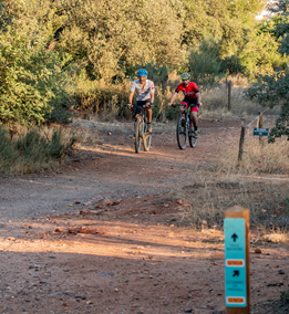 PUESTA EN VALOR, CONSERVACIÓN Y PROTECCIÓN DEL ÁREA DEL PATRIARCA