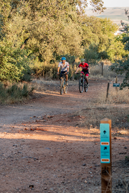 PUESTA EN VALOR, CONSERVACIÓN Y PROTECCIÓN DEL ÁREA DEL PATRIARCA